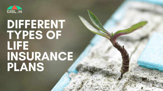 What Are the Different Types of Life Insurance Plans in 2020?